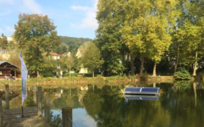 Une solution pour améliorer la qualité de l’eau a été expérimentée Orsay, applicable aux Étangs de Hollande