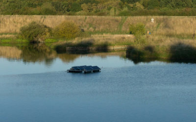 L’étang du Val Favry, nouvelle étape de la politique de SQY sur ses milieux aquatiques ?